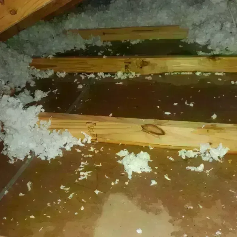 Attic Water Damage in Chatham County, GA