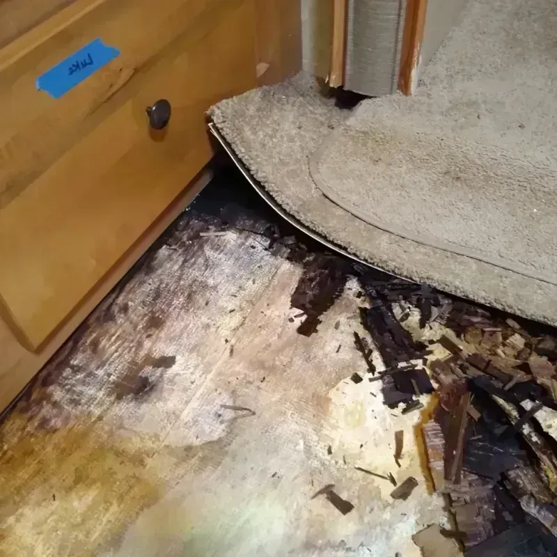 Best Wood Floor Water Damage Service in Chatham County, GA